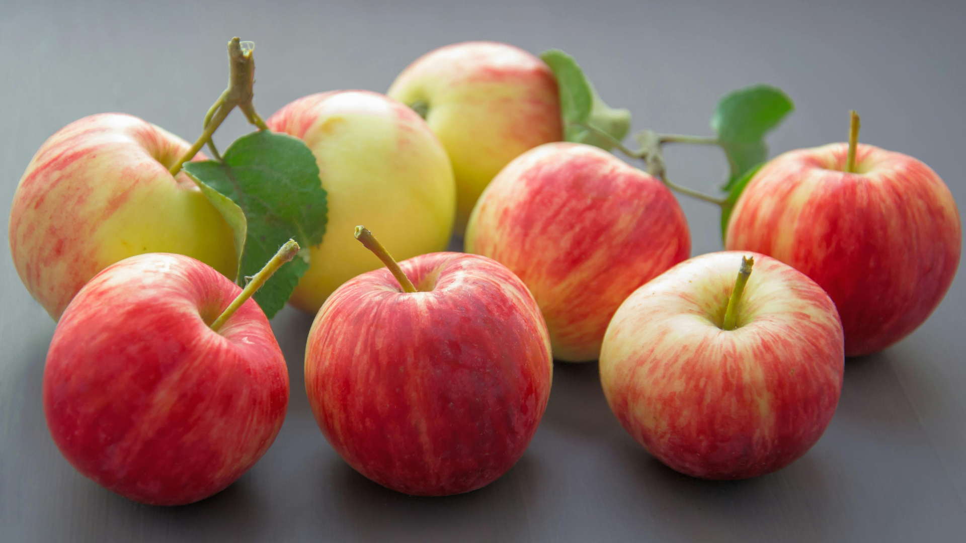 Imagen del artículo SENASA establece requisitos fitosanitarios para la importación de manzana desde Brasil
